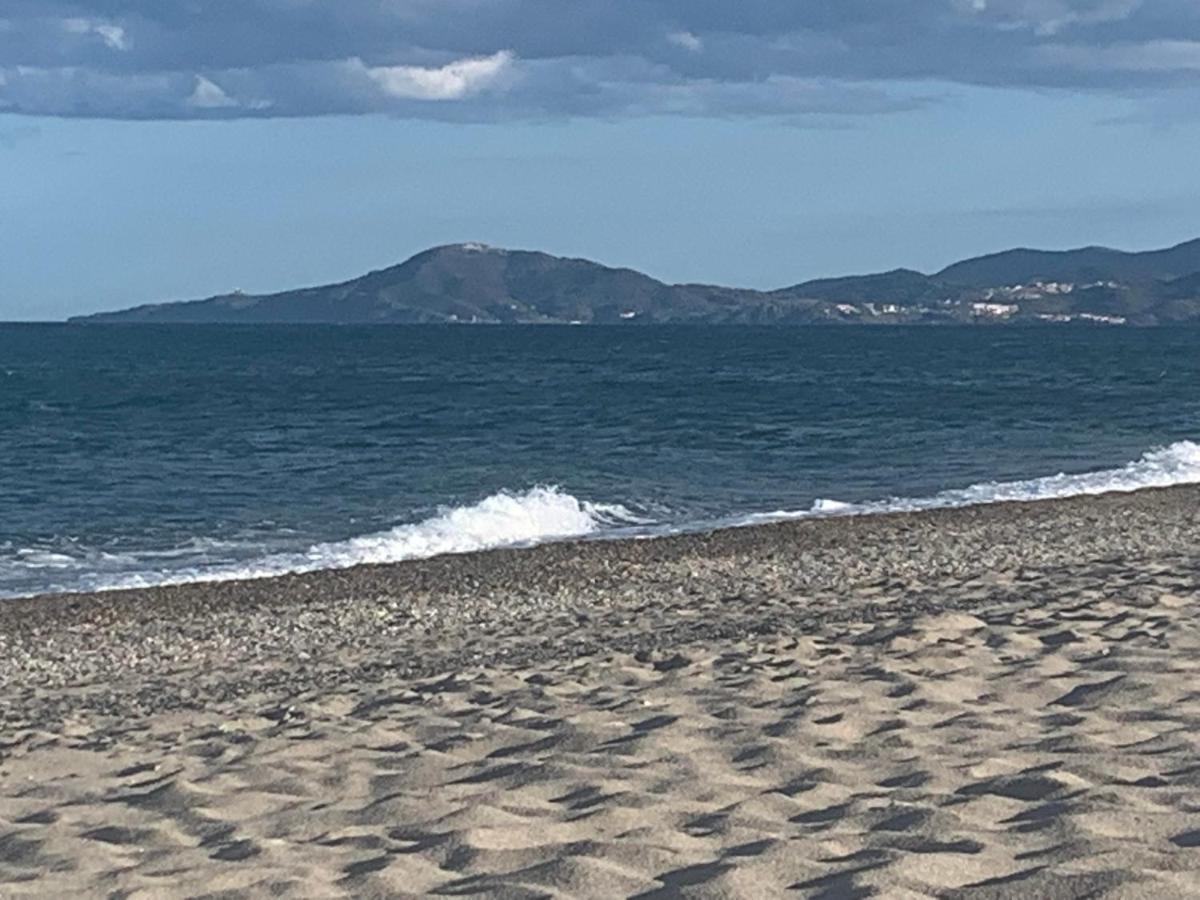 Patios De La Mer Villa A 200 M De La Plage- Clim - Wifi - Parking Сен-Киприен Екстериор снимка